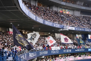 盛り上がるオリックスファン＝京セラドーム（撮影・金田祐二）