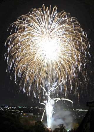 夜空を色鮮やかに染めた花火＝加古川市加古川町（撮影・宮崎真彦）