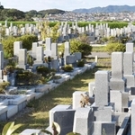 西日本最大級の約２００ヘクタールに約５万３８００区画が広がる神戸市立鵯越墓園＝神戸市北区山田町下谷上