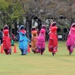 恐竜の着ぐるみを着て走るティラノサウルスレースの参加者たち＝丹波市柏原町田路、丹波年輪の里