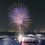 ミナト神戸をつかの間彩った打ち上げ花火＝１６日夜、神戸市中央区東川崎町１から（撮影・小林良多）