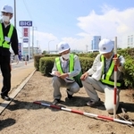 ビッグモーター加古川店前の植栽を調査する県加古川土木事務所の職員＝７月２８日午後、加古川市加古川町南備後