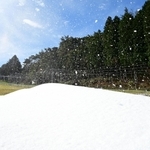 ゲレンデに振りまかれる人工雪＝２３日午前、神戸市灘区六甲山町、六甲山スノーパーク（撮影・斎藤雅志）