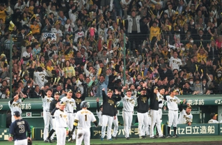 ７回裏、１点差まで追い上げて盛り上がる阪神ベンチと観客席＝１０月３１日夜、甲子園球場（撮影・風斗雅博）