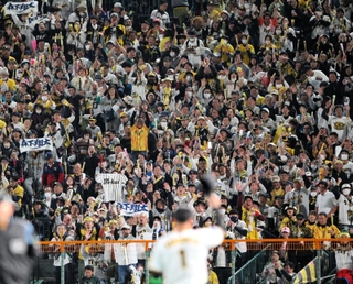 ８回、守備に就く森下翔太選手に声援を送る阪神ファン＝１０月３１日夜、甲子園球場（撮影・山崎　竜）