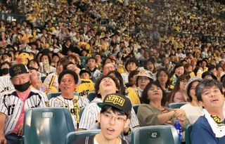 ５回、森下選手が三振に倒れ、天を仰ぐ阪神ファン＝４日夜、甲子園球場（撮影・吉田敦史）