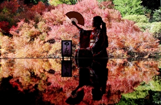 ドウダンツツジの紅葉が床に反射し、人影が浮かぶ＝豊岡市但東町相田