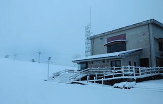初雪が降ったハチ高原＝１３日午前６時５０分、養父市内（撮影・吉田みなみ）