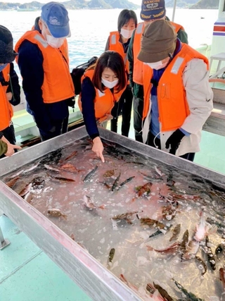 漁で取ったばかりの魚を船上で間近で見られる＝播磨灘