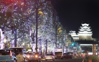 沿道の樹木が約２２万球のＬＥＤで彩られた大手前通り＝２２日夜、姫路市内（撮影・辰巳直之）