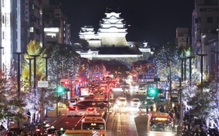 沿道の樹木が約２２万球のＬＥＤで彩られた大手前通り＝２２日夜、姫路市内（撮影・辰巳直之）