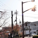 日差しが照りつけ、日傘を差す人も＝豊岡市元町