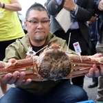 浜坂漁港の初競りで１千万円の最高値を付けた松葉ガニ＝６日午後、兵庫県新温泉町芦屋