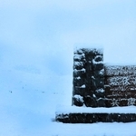 初雪が積もったハチ高原＝１３日午前６時５３分、養父市内（撮影・吉田みなみ）