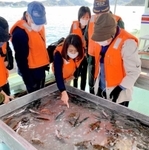 漁で取ったばかりの魚を船上で間近で見られる＝播磨灘