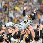 ３８年ぶりの日本一を達成し、ナインに胴上げされる阪神・岡田彰布監督＝５日、京セラドーム大阪