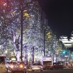 沿道の樹木が約２２万球のＬＥＤで彩られた大手前通り＝２２日夜、姫路市内（撮影・辰巳直之）