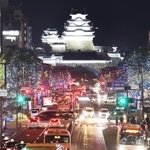 沿道の樹木が約２２万球のＬＥＤで彩られた大手前通り＝２２日夜、姫路市内（撮影・辰巳直之）