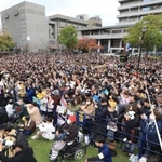 　阪神タイガースの日本一報告会に集まったファンたち（撮影・吉田敦史）