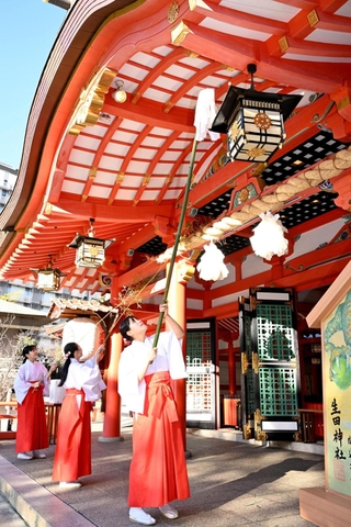 新年に向け、拝殿のほこりをはたきで払う巫女ら＝１３日午前、生田神社（撮影・風斗雅博）