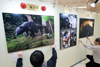 協会賞に輝いた「森の主　家の主」（左）をはじめ、今年１年を振り返る作品が並ぶ会場＝１３日午後、神戸市中央区三宮町１、さんちかホール（撮影・長嶺麻子）