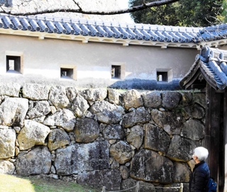 数種類の防カビ剤が試験的に塗られたため、周囲と比べて狭間の周囲が白く保たれている、ろの門東方土塀＝姫路市本町