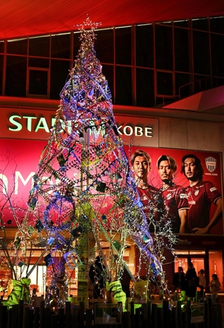 スタジアム前に設けられたクリスマスのイルミネーション＝１６日午後、神戸市兵庫区御崎町１（撮影・斎藤雅志）