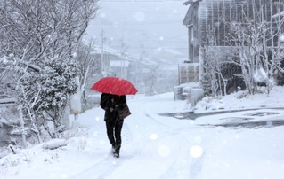 一面雪景色となった住宅街＝２１日午前８時３７分、兵庫県香美町香住区下浜（撮影・長谷部崇）