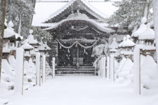 雪が降り積もり、白く染まった神社の境内＝２１日午前、豊岡市竹野町竹野（撮影・丸山桃奈）