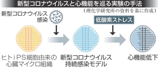 神戸新聞NEXT