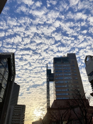朝日に照らされる「ひつじ雲」＝２８日午前８時８分、神戸市中央区東川崎町１