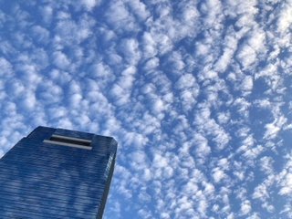 青空に広がる「ひつじ雲」＝２８日午前８時４分、神戸市中央区東川崎町１