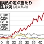 神戸新聞ＮＥＸＴ