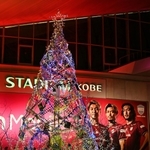 スタジアム前に設けられたクリスマスのイルミネーション＝１６日午後、神戸市兵庫区御崎町１（撮影・斎藤雅志）