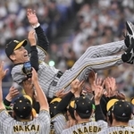 胴上げされる阪神・岡田監督（撮影・高部洋祐）