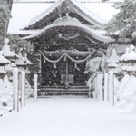 雪が降り積もり、白く染まった神社の境内＝２１日午前、豊岡市竹野町竹野（撮影・丸山桃奈）