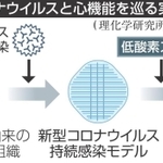 神戸新聞NEXT