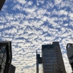 朝日に照らされる「ひつじ雲」＝２８日午前８時８分、神戸市中央区東川崎町１