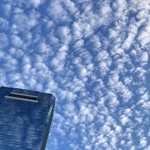 青空に広がる「ひつじ雲」＝２８日午前８時４分、神戸市中央区東川崎町１