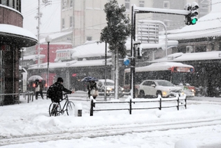 雪が降り積もった豊岡市街地＝２４日午前、豊岡市大手町（撮影・丸山桃奈）