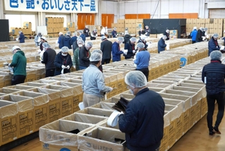 兵庫県内の産地からノリが集まった入札会（共販）。買い付け人が一枚ずつ見定めた＝７日、兵庫県播磨町古宮、県漁連のり流通センター
