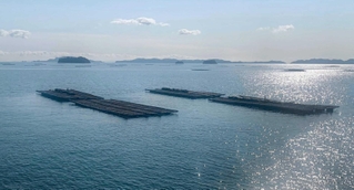 牡蠣筏と唐荷島の島々が浮かぶ穏やかな播磨灘＝たつの市御津町室津