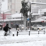 雪が降り積もった豊岡市街地＝２４日午前、豊岡市大手町（撮影・丸山桃奈）