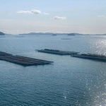 牡蠣筏と唐荷島の島々が浮かぶ穏やかな播磨灘＝たつの市御津町室津