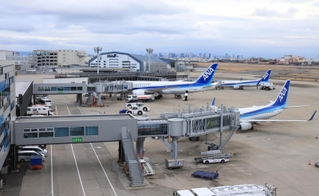 全日空（ＡＮＡ）の機体が並ぶ駐機場＝１日午後、大阪（伊丹）空港（撮影・吉田敦史）