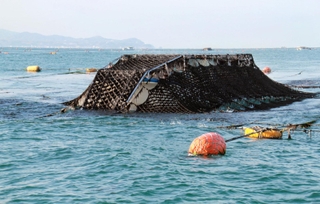 淡路島沿岸でのノリ収穫の様子（淡路市提供）