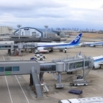 全日空（ＡＮＡ）の機体が並ぶ駐機場＝１日午後、大阪（伊丹）空港（撮影・吉田敦史）