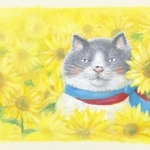 絵本「マルの真夏のプレゼント」の表紙
