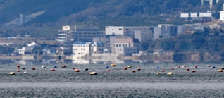 蜃気楼によって海上に浮かんだように見える淡路島の街並み＝１０日午前、神戸市須磨区から（撮影・風斗雅博）