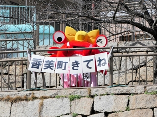 「香美町きてね」と呼びかけるかすみちゃん＝神戸市中央区花隈町